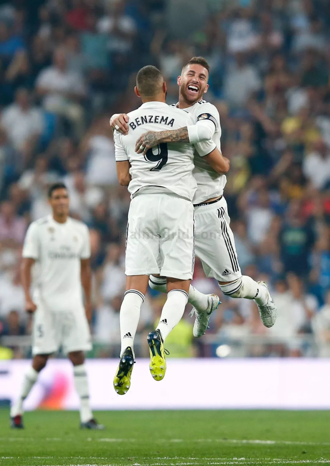 sports-data-collection